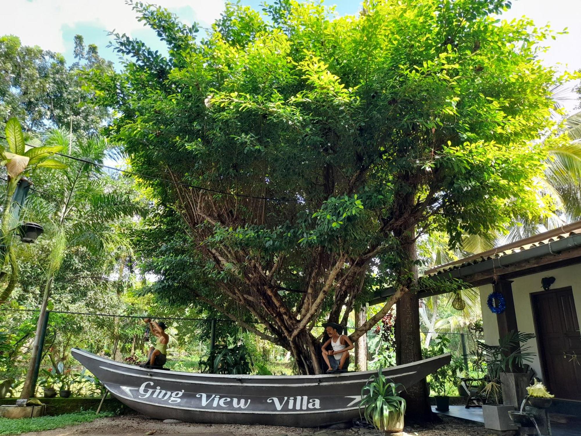 Ging View Villa Galle Extérieur photo