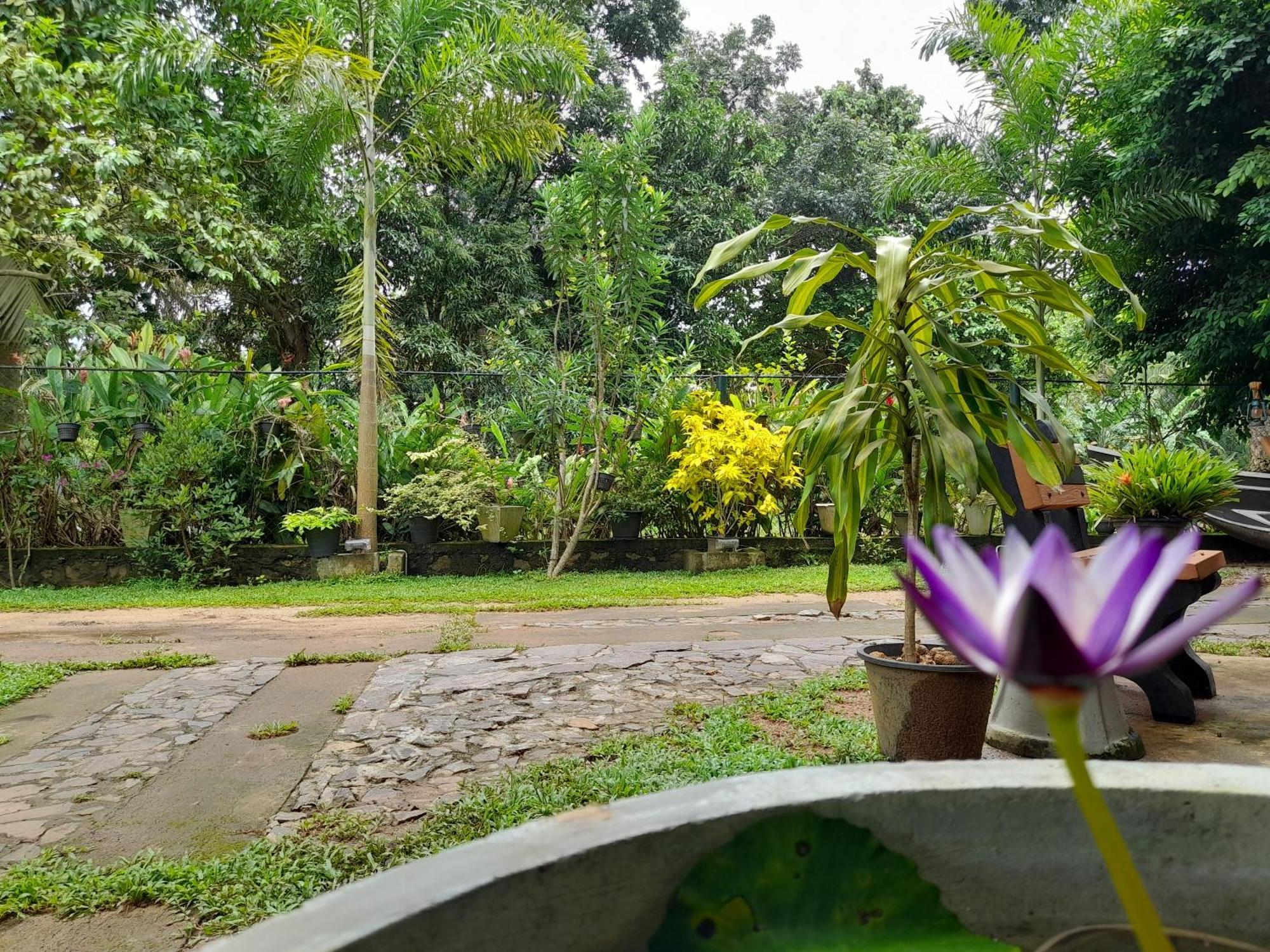 Ging View Villa Galle Extérieur photo