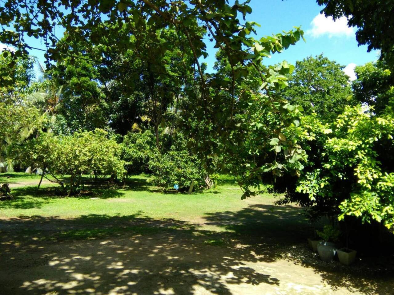 Ging View Villa Galle Extérieur photo